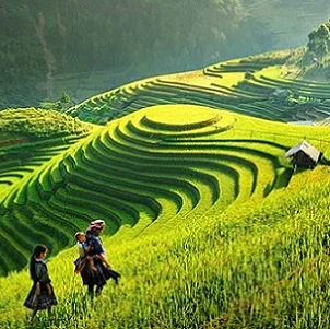 Agenzia-viaggi-in-Italia-Vietnam